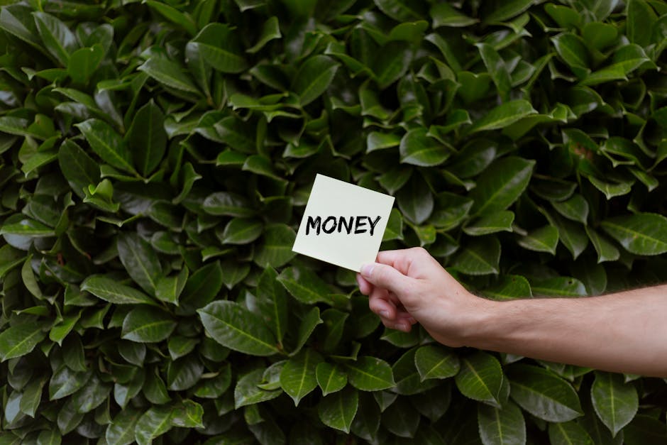 Eco-Friendly Practices That Save Money