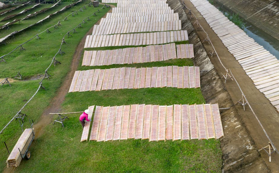 Sustainable Practices: Redefining Industrial Standards
