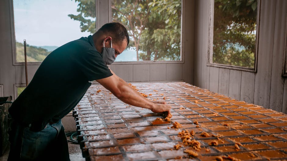 Eco-Friendly Materials for Sustainable Production