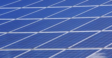 Innovative Eco-Friendly Production Methods