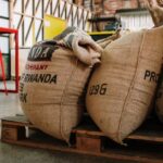 The Importance of Eco-Friendly Manufacturing