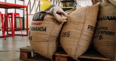 The Importance of Eco-Friendly Manufacturing