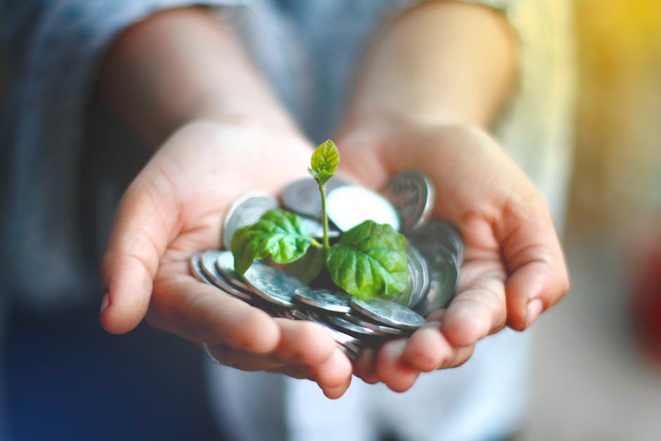Eco-Friendly Practices That Save Money