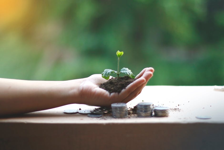 Eco-Friendly Practices That Save Money