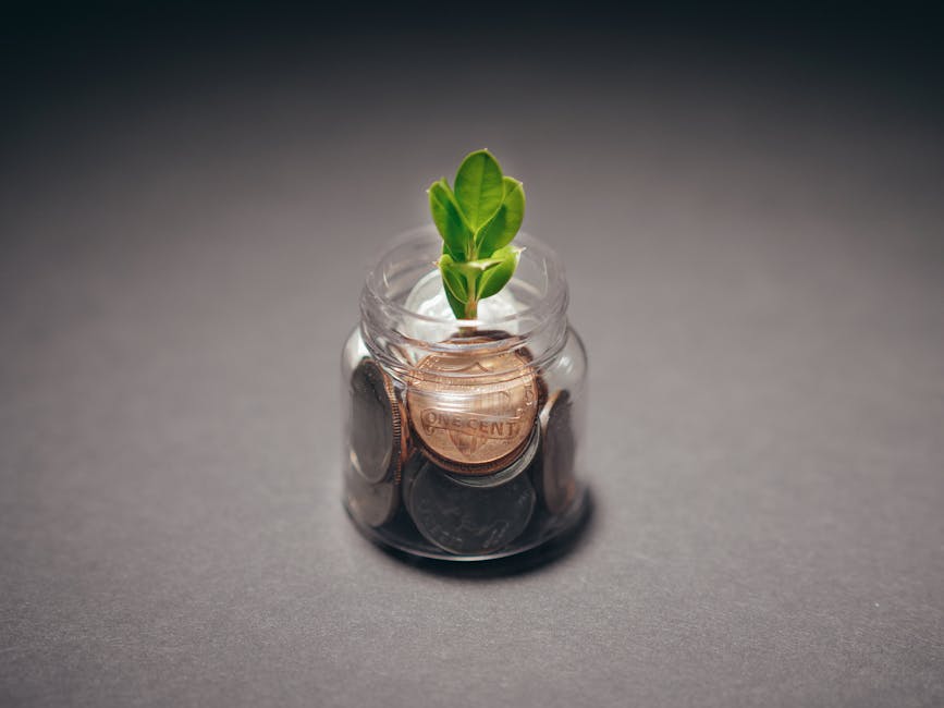 Eco-Friendly Practices That Save Money