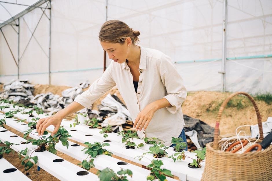 Innovative Eco-Friendly Production Methods